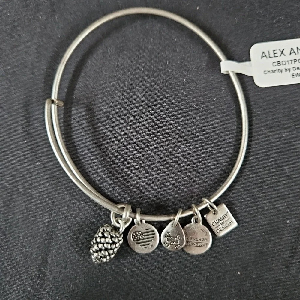 Alex and Ani Pine Cone Charm Bracelet NIB Silver Expandable Bangle